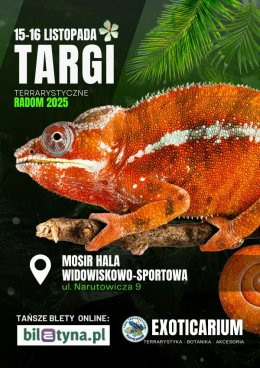 Radom Wydarzenie Targi EXOTICARIUM Targi Terrarystyczne Radom - targi dwudniowe 15-16 listopada